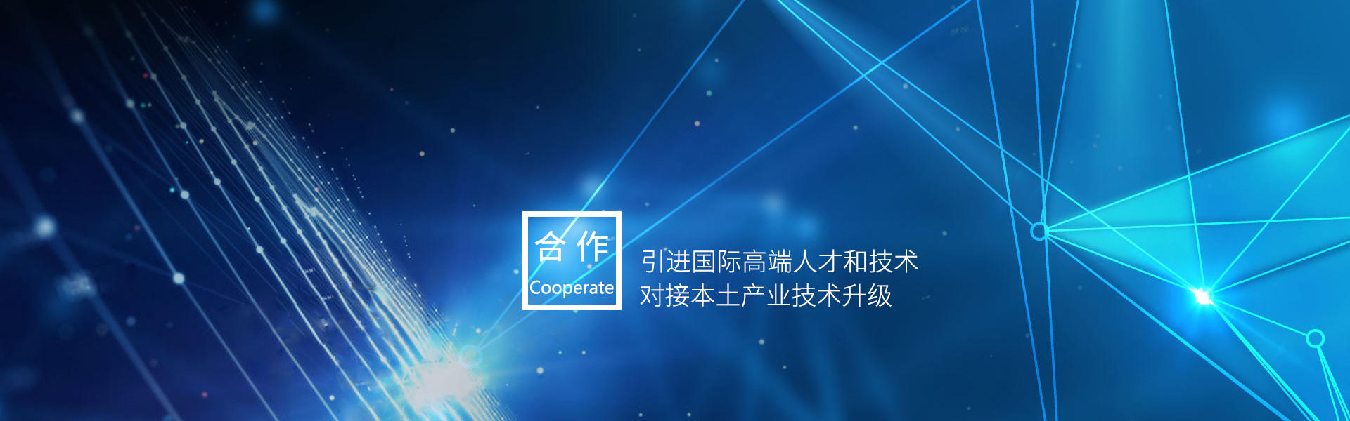 合作（Cooperate）：引进国际高端人才和技术，对接本土产业技术升级